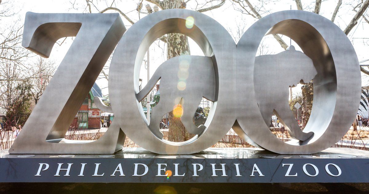 Best Things to do in Philadelphia 2022 Guide post image